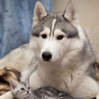 Ильшат Загретдинов