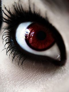 Александра Озорнина