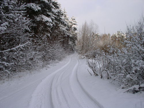 Роман Олегович