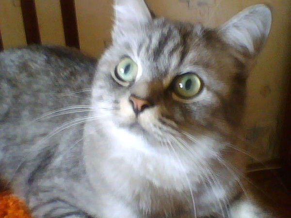 Наталья Баранова