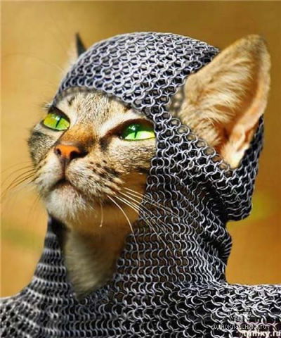 Павел Романюха