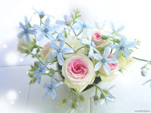 Эльнура Курманалиева