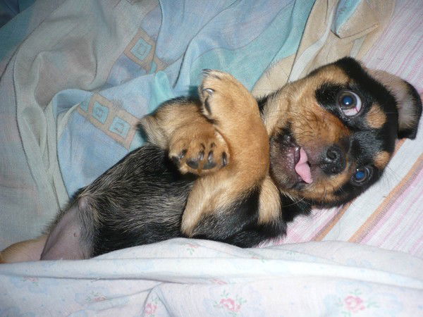 Виктор Юрьев