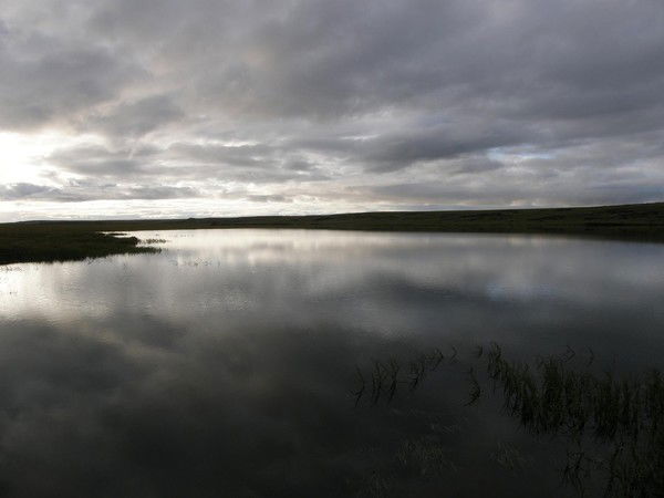 Денис Жуковский