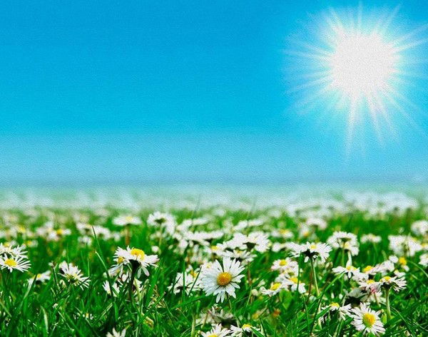 Иван Семёнов Кфх