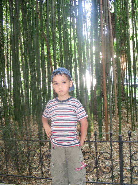 Михаил Вольдман