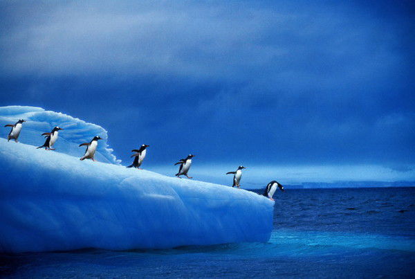 Егор Буланов