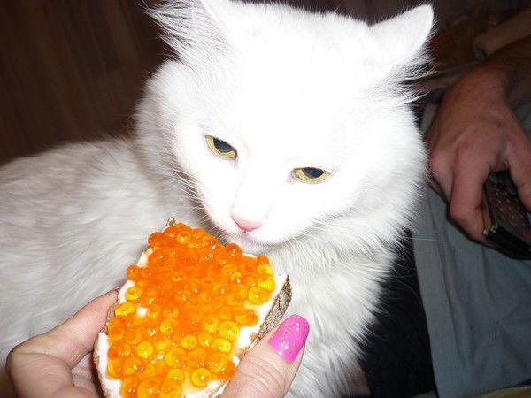 Оксана Понизовцева