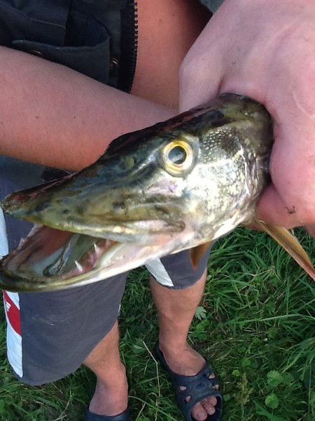 Алексей Климов