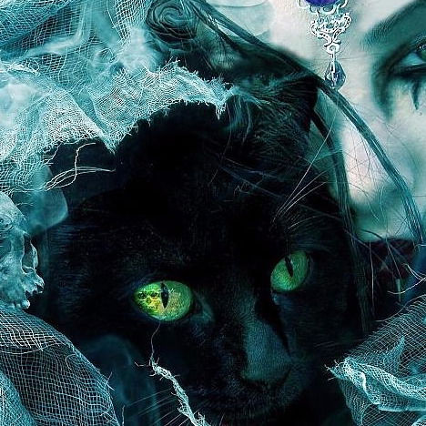 Аэлитта Зимица