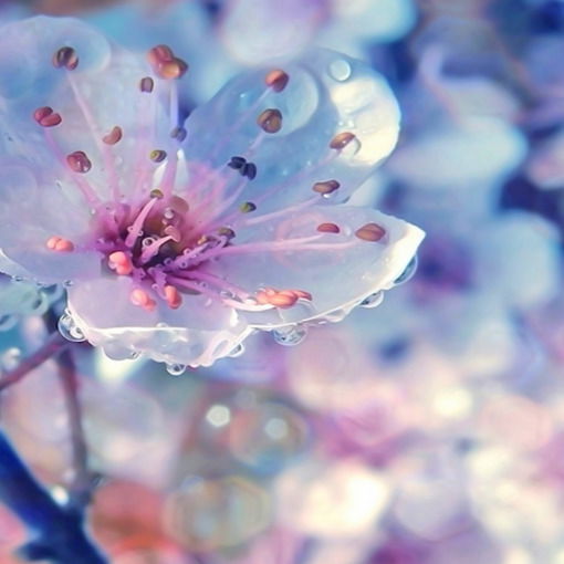 Маргарита Лашкевич