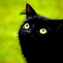 Мария Горюнова