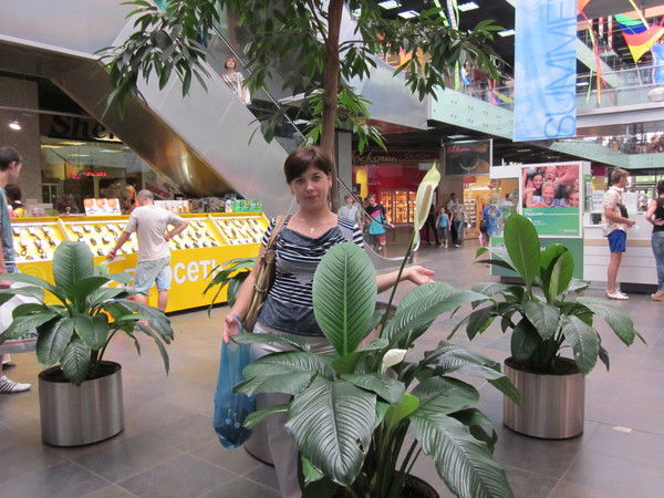 ***** Светланка