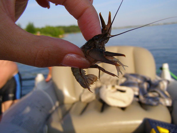 Анна Головина