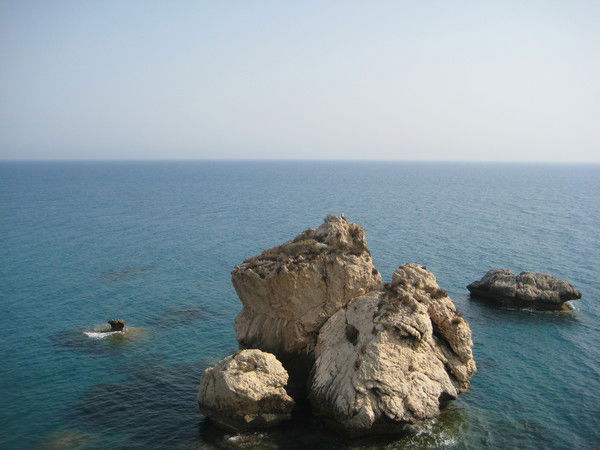 Жаворонкова Ирина