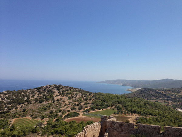 Татьяна Чучкова