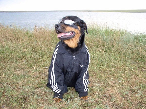 Алена Шатохина