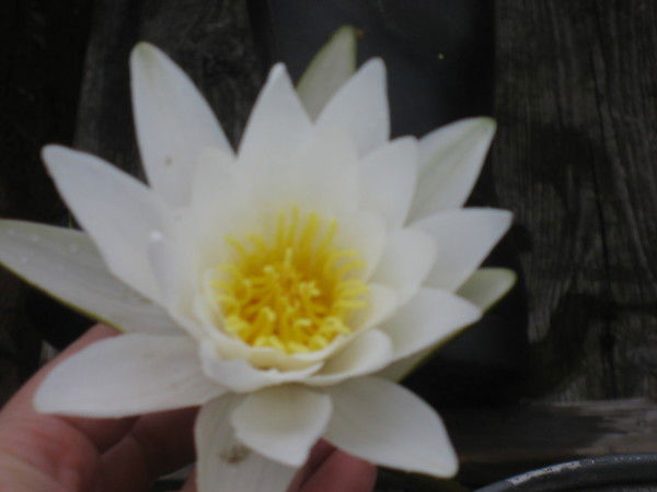 Ольга Котюрова