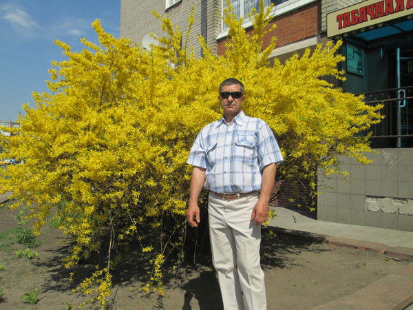 Сергей Чупринин