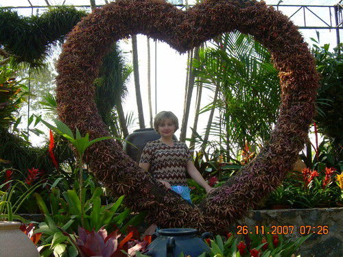 Елена Сергеева