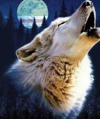 Юлия Исакова