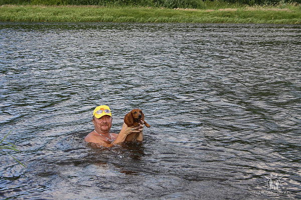 Александр Матвеев