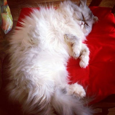 Галина Черных