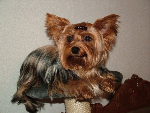 Настя Маслакова