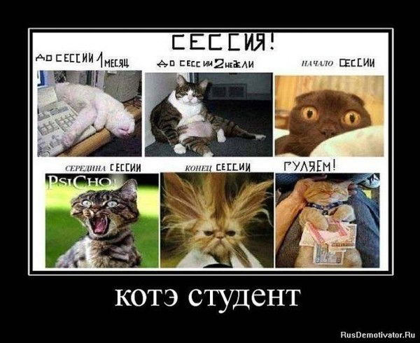 Группа 112150 Бнту