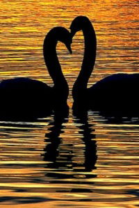 Олюшка Тимченок