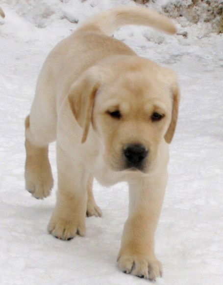 Юлия Сабитова