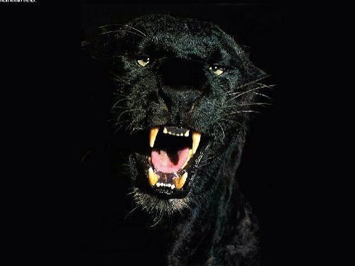 Анталья Сантабарбара