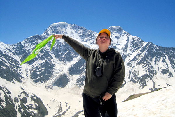 Алла Шевякова