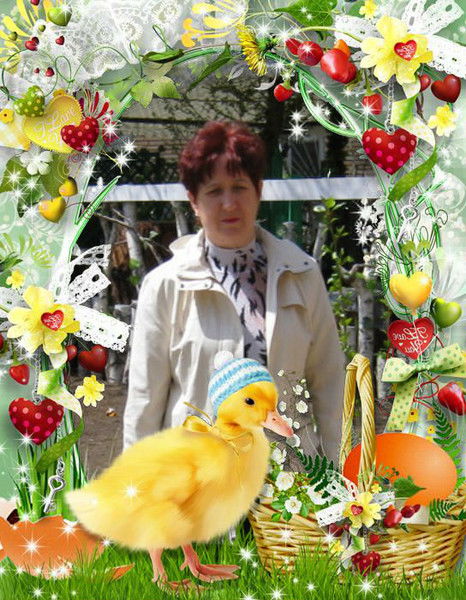 Елена Шушакова