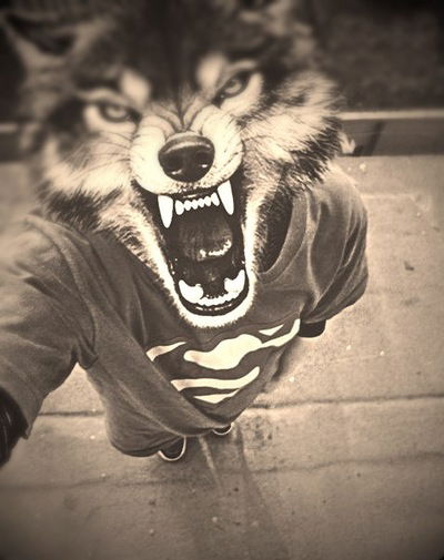 Слава Стаховський