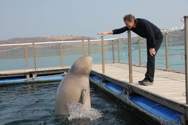 Александр Голосеев