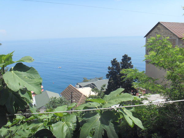 Наталья Якушик