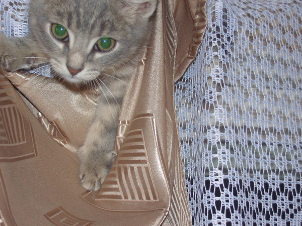 Марита Русинова