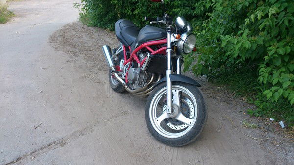 Никита Деженин