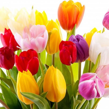 Людмила Васюра