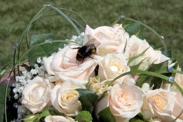 Наталия Кириенко