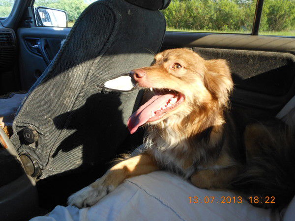 Владимир Усков