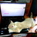 Павел Жидачевский