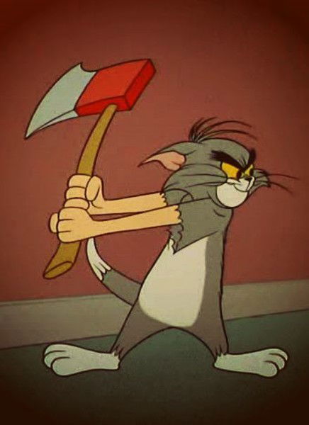 Дима Топтыгин