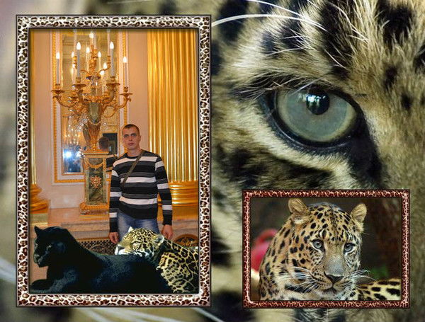 Евгений Давыдкин