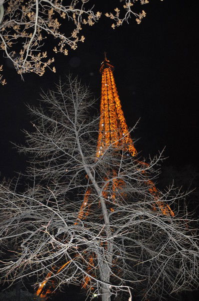 Анна Сидоренко