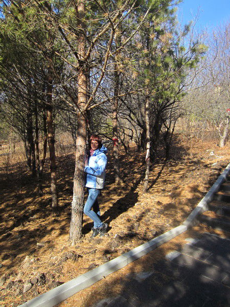 Ольга Андреева