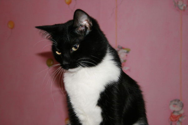 Эдуард Кадочников