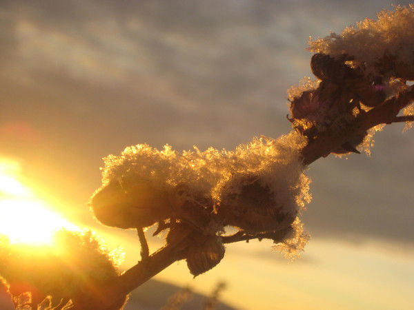 Анна Климова