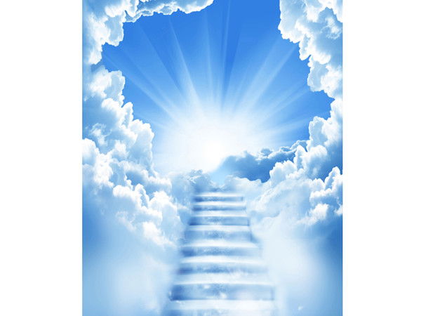 Владимир Шеян